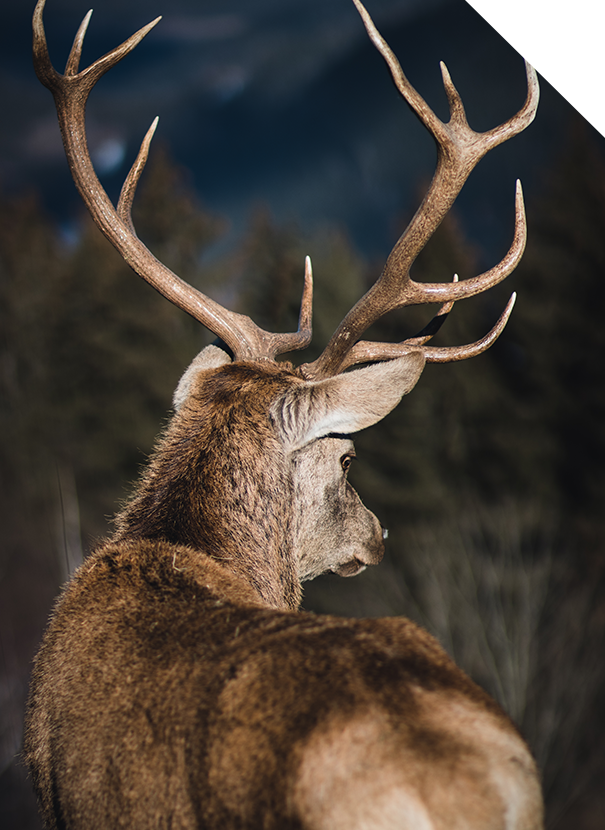 slider-img-02